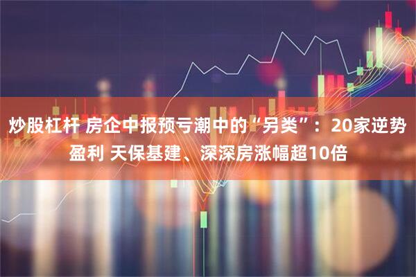 炒股杠杆 房企中报预亏潮中的“另类”：20家逆势盈利 天保基建、深深房涨幅超10倍
